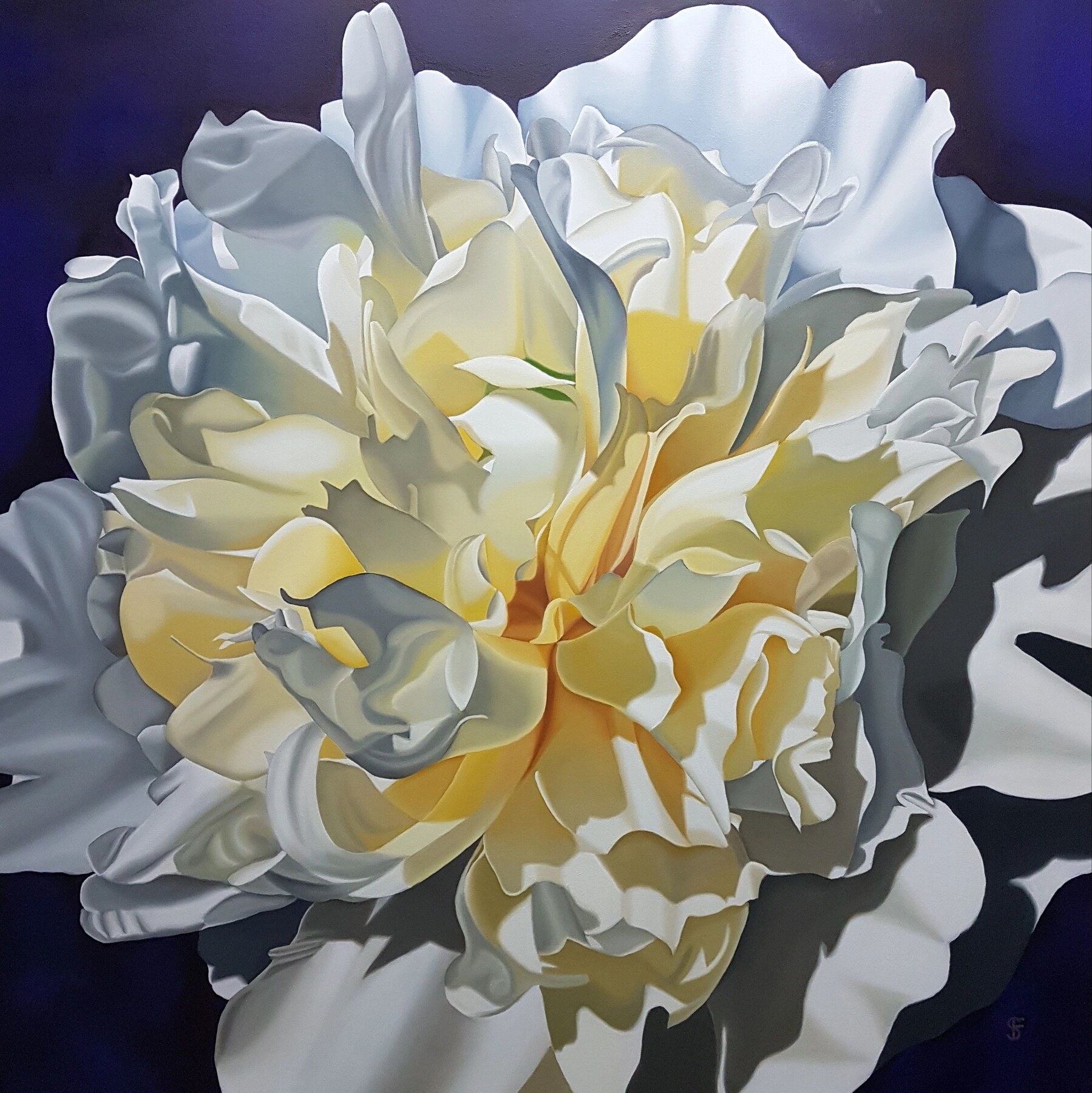 Lemon Meringue by Steve Foster
