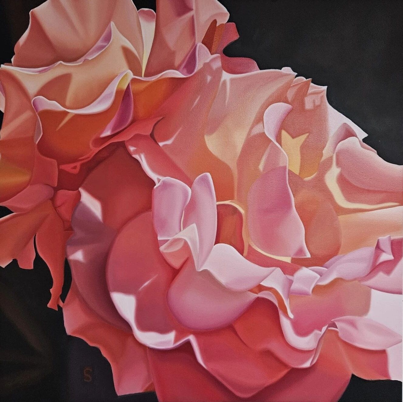 Rhubarb and Custard by Steve Foster